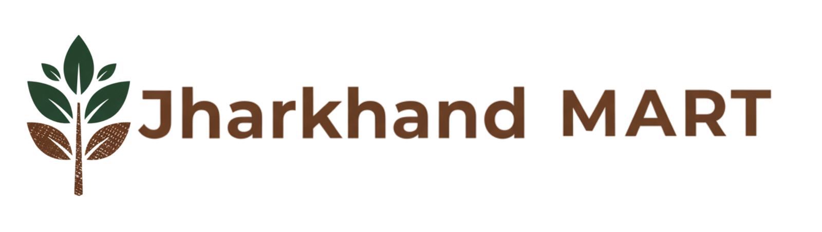 1_20251223_015529_0000